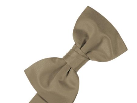 Latte Luxury Satin Kids Bow Tie For Sale