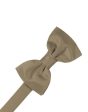 Latte Luxury Satin Kids Bow Tie For Sale