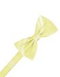 Canary Striped Satin Kids Bow Tie Online Hot Sale