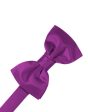 Cassis Luxury Satin Kids Bow Tie For Sale