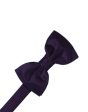 Lapis Striped Satin Kids Bow Tie Fashion