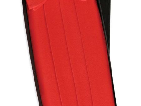 Red Silk Cummerbund & Bow Tie Set For Cheap