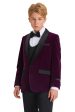 Jayden  Tazio Kids Purple Velvet Tuxedo (5-Piece Set) Online now