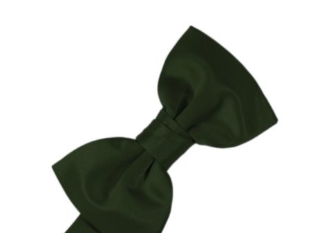 Holly Luxury Satin Kids Bow Tie Supply