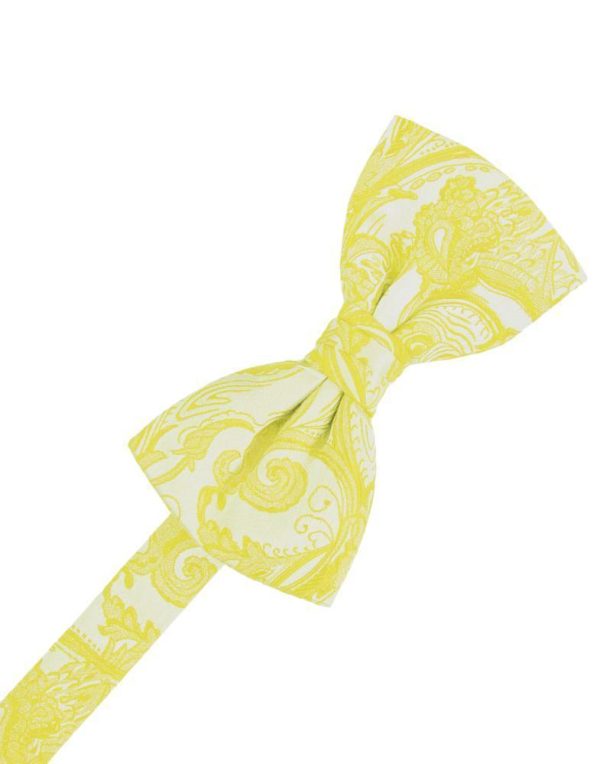 Willow Tapestry Kids Bow Tie Online now