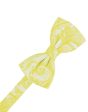 Willow Tapestry Kids Bow Tie Online now