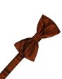 Cognac Striped Satin Kids Bow Tie For Cheap