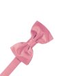 Rose Petal Luxury Satin Kids Bow Tie Online Sale