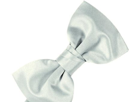 Sea Glass Luxury Satin Kids Bow Tie Fashion