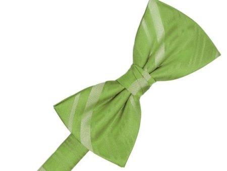 Clover Striped Satin Kids Bow Tie For Discount