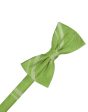 Clover Striped Satin Kids Bow Tie For Discount