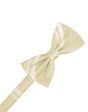 Bamboo Striped Satin Kids Bow Tie For Discount