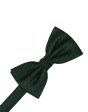 Hunter Palermo Kids Bow Tie For Discount