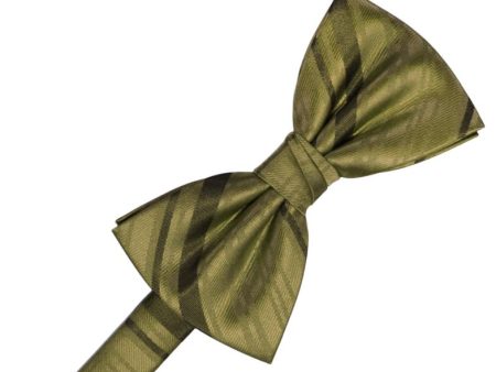 Fern Striped Satin Kids Bow Tie Supply