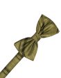 Fern Striped Satin Kids Bow Tie Supply