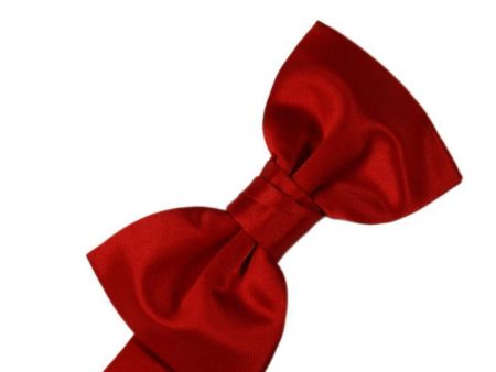 Scarlet Luxury Satin Kids Bow Tie Online now