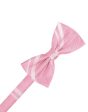 Coral Striped Satin Kids Bow Tie Online