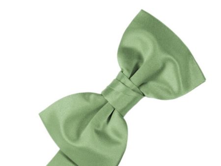 Sage Luxury Satin Kids Bow Tie Online now