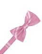 Rose Petal Striped Satin Kids Bow Tie Cheap