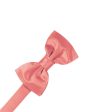 Guava Luxury Satin Kids Bow Tie Supply