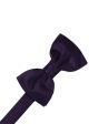 Lapis Luxury Satin Kids Bow Tie Online now