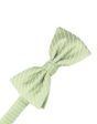 Mint Palermo Kids Bow Tie For Sale