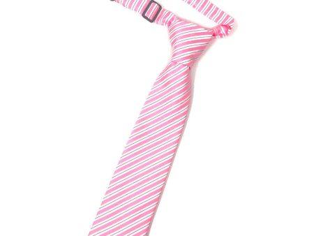 Pink Newton Stripe Kids Necktie Online Sale