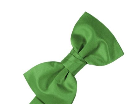 Kelly Luxury Satin Kids Bow Tie Fashion